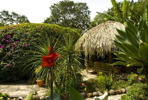 Vulcano Lodge Guatemala