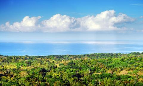The Vista Ballena Hotel Costa Rica