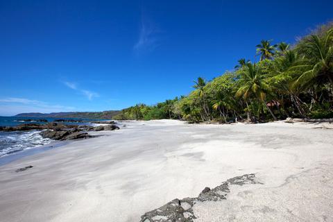 Ylang Ylang Beach Resort Costa Rica