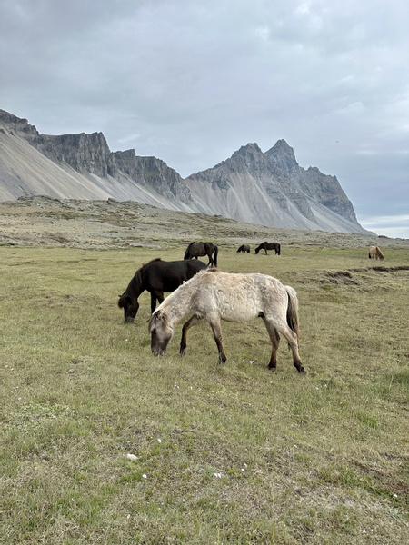 Vestrahorn