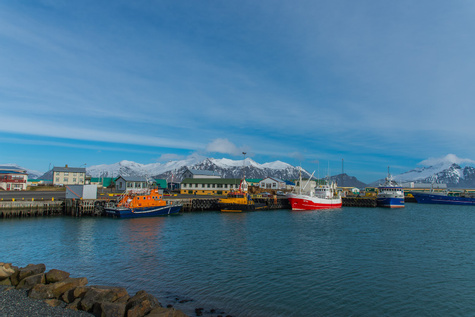Höfn