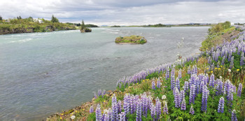 Selfoss