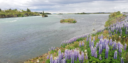 Selfoss