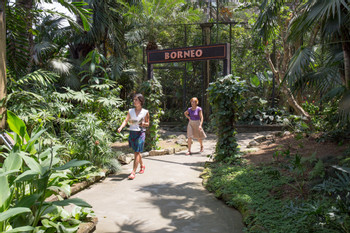 Bali Bird Park photo 3