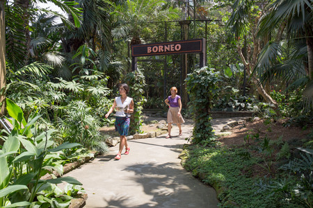 Bali Bird Park photo 3
