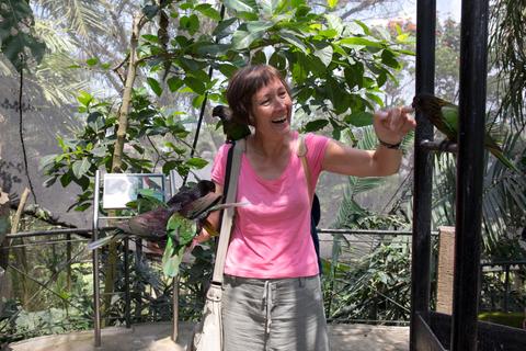 Bali Bird Park Indonesia