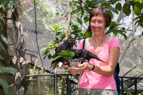 Bali Bird Park Indonesia