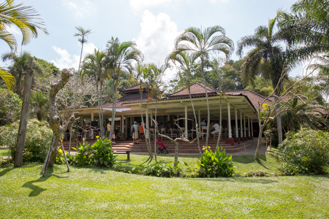 Bali Bird Park