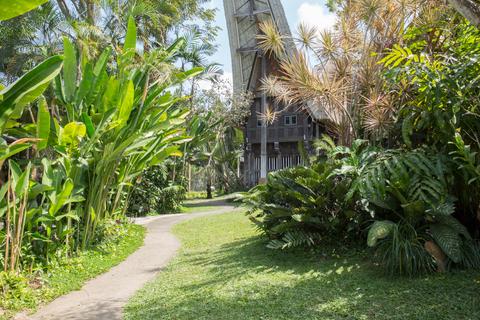 Bali Bird Park Indonesia