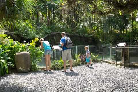 Bali Bird Park Indonesia