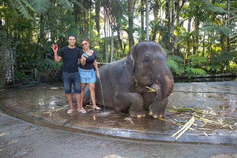 Elephant Safari Park Indonesia