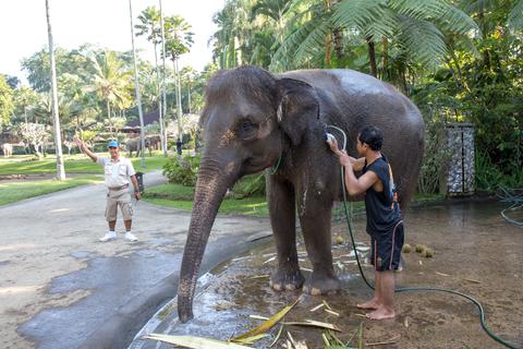 Elephant Safari Park Indonesia
