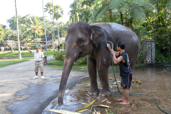 Elephant Safari Park photo 3