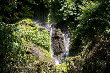 Gitgit Waterfall photo 2