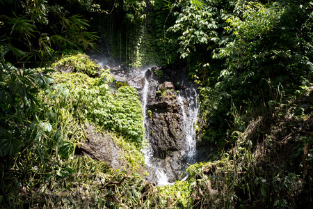 Gitgit Waterfall photo 2