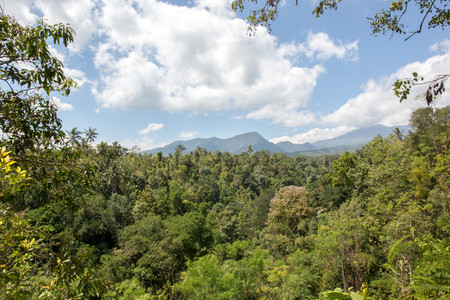 Gitgit Waterfall photo 3