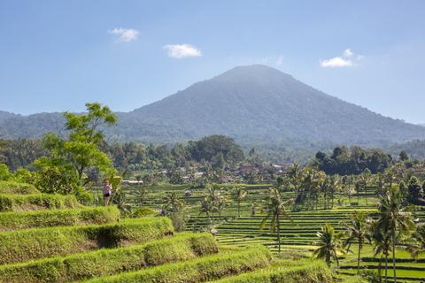 Jatiluwih Rice Paddies Indonesia