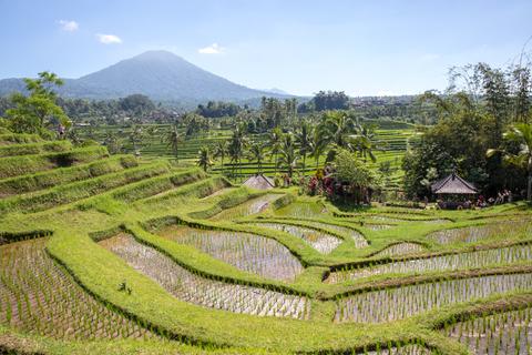 Jatiluwih Rice Paddies Indonesia
