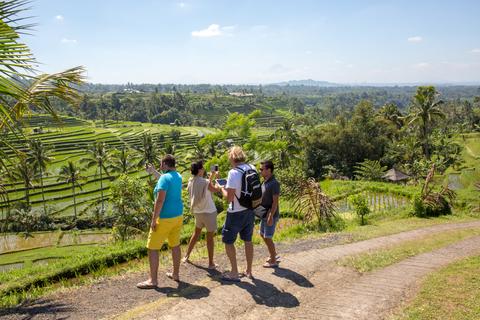 Jatiluwih Rice Paddies Indonesia