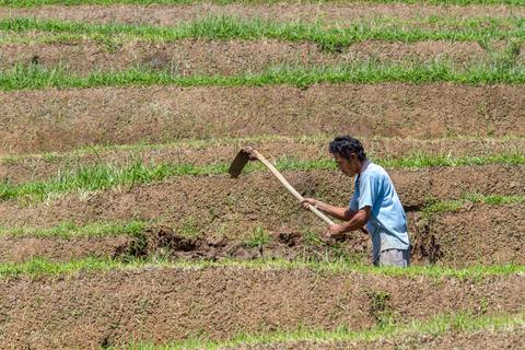 Jatiluwih Rice Paddies Indonesia