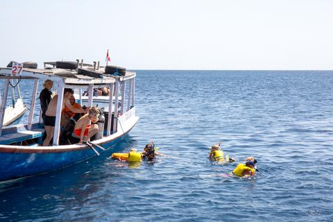 Menjangan Island Indonesia