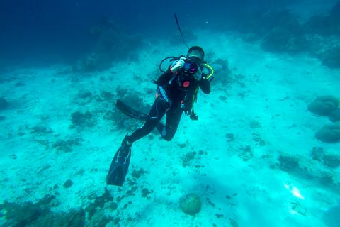 Menjangan Island Indonesia
