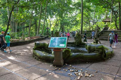 Sacred Monkey Forest Sanctuary Indonesia