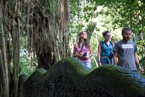 Sacred Monkey Forest Sanctuary Indonesia