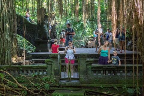 Sacred Monkey Forest Sanctuary Indonesia