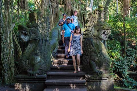 Sacred Monkey Forest Sanctuary Indonesia