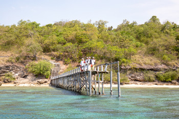 West Bali National park photo 3
