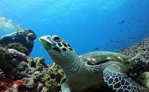 Two Fun Dives in Candidasa Indonesia