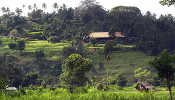 Tirtagangga and East Bali Trekking  photo 4
