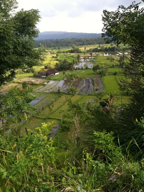 Tirtagangga and East Bali Trekking Indonesia