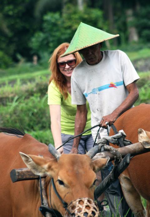 Tirtagangga and East Bali Trekking Indonesia