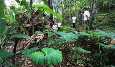Tirtagangga and East Bali Trekking Indonesia