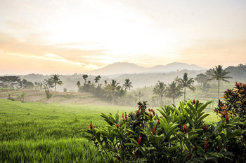 Ijen Resort And Villas photo 4