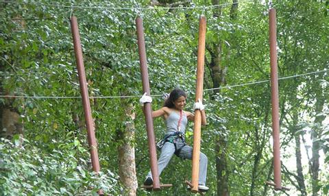 Family Treetop Adventure