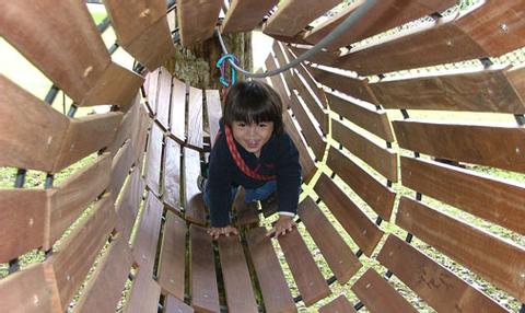 Family Treetop Adventure Indonesia