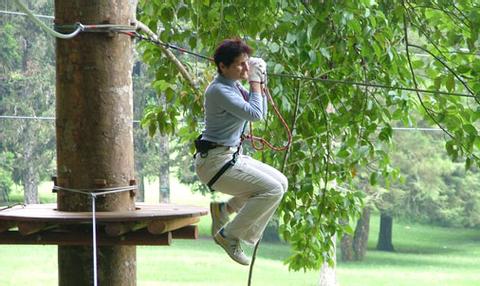 Family Treetop Adventure