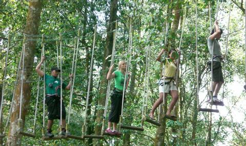 Family Treetop Adventure Indonesia