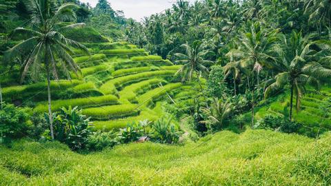 Beautiful Bali: The Most Scenic Spots - Candidasa, Bali | Indonesia  Indonesia