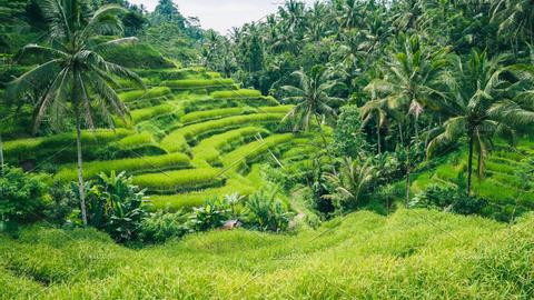 Beautiful Bali: The Most Scenic Spots - Candidasa, Bali | Indonesia Indonesia