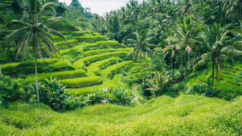 Beautiful Bali: The Most Scenic Spots - Candidasa, Bali | Indonesia  photo 2
