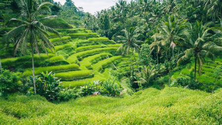 Beautiful Bali: The Most Scenic Spots - Candidasa, Bali | Indonesia  photo 2