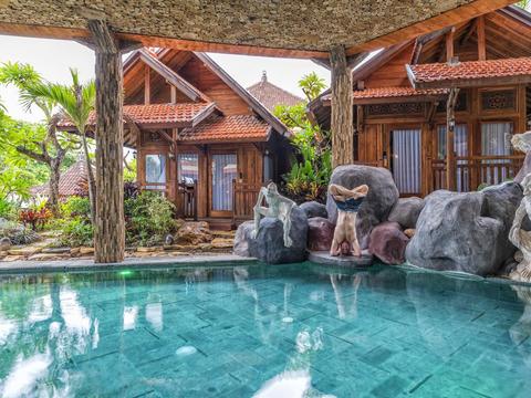 Udara Bali Yoga Detox Spa 