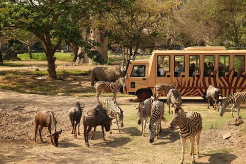 The Bali Safari and Marine Park Indonesia