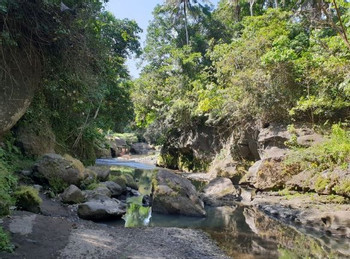Bali's Wet & Wild Hidden Canyon Adventure photo 5