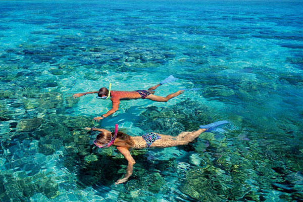 A Snorkeler’s Pardise: Swimming with Sea Turtles photo