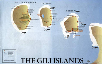 Three Gili Islands Tour photo 4